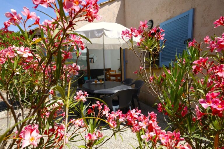 Photo – Le Sentier des Pins, Ramatuelle