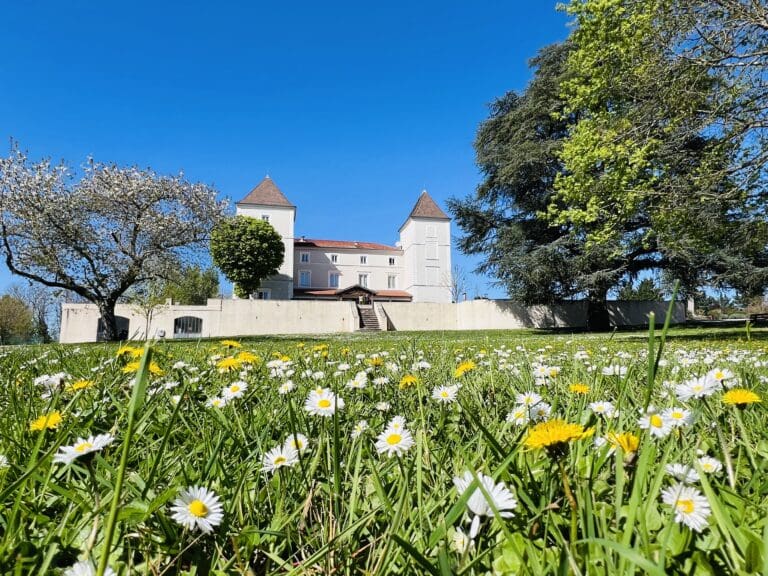 Featured image – Domaine de Sainte-Croix
