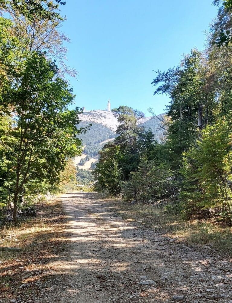 Rando Le sentier de découverte J. H. Fabre — Le Hameau des Oliviers à Vaison-la-Romaine