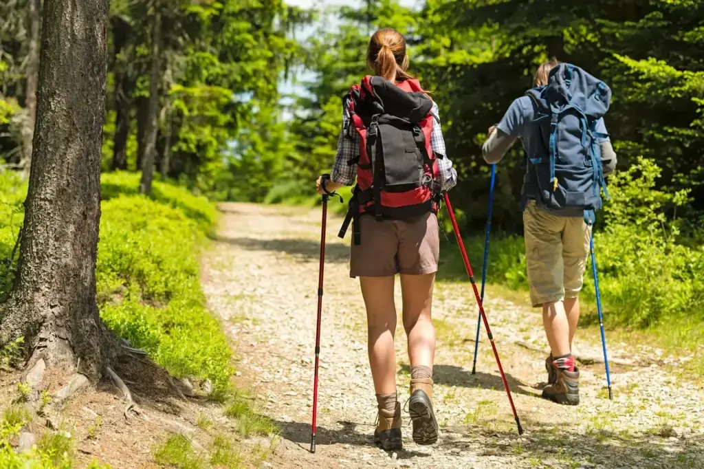 Hikers on path with trekking poles — Le Hameau des Oliviers à Vaison-la-Romaine