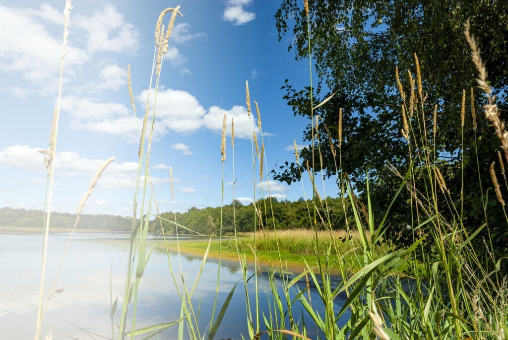Etang de la dombes sainte croix domaine vacances leo lagrange… — Le Domaine de Sainte-Croix à Sainte-Croix