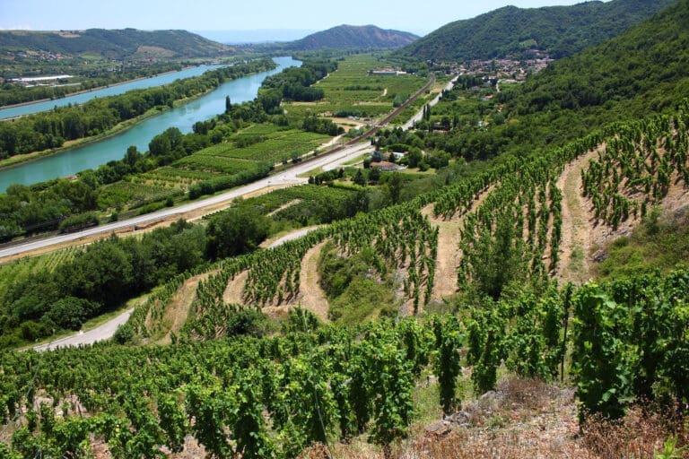 Vineyard Rhone Valley Côtes du Rhône Drôme Provence France — Le Domaine de Sainte-Croix à Sainte-Croix