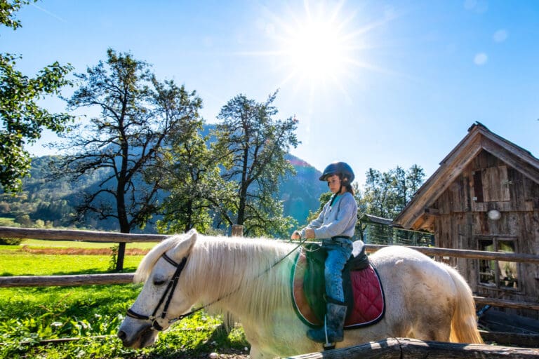 Boy sitting on a horse – Horse riding