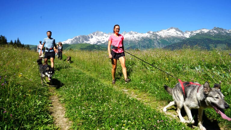 Cani-hiking