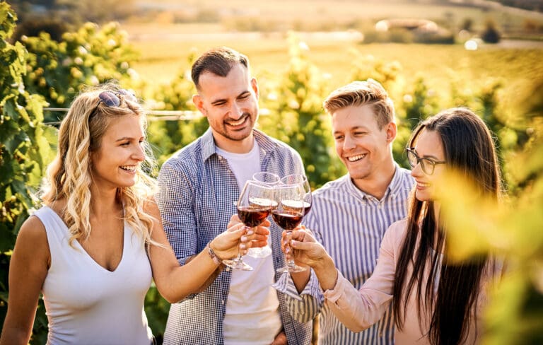 Friends having fun outdoors – Tasting & wine appreciation