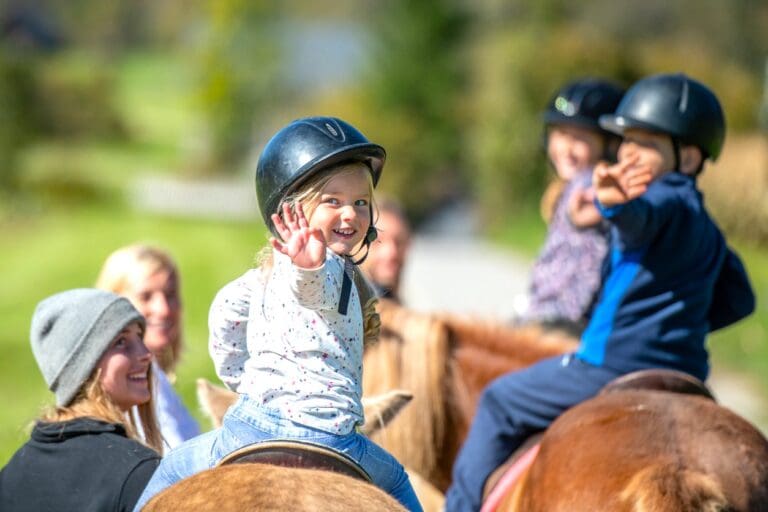 Equestrian activity – Horse riding