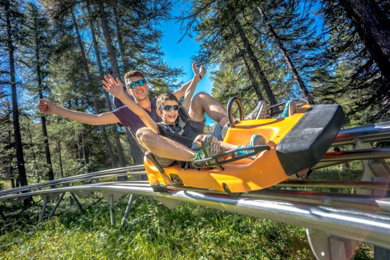 Alpine coaster