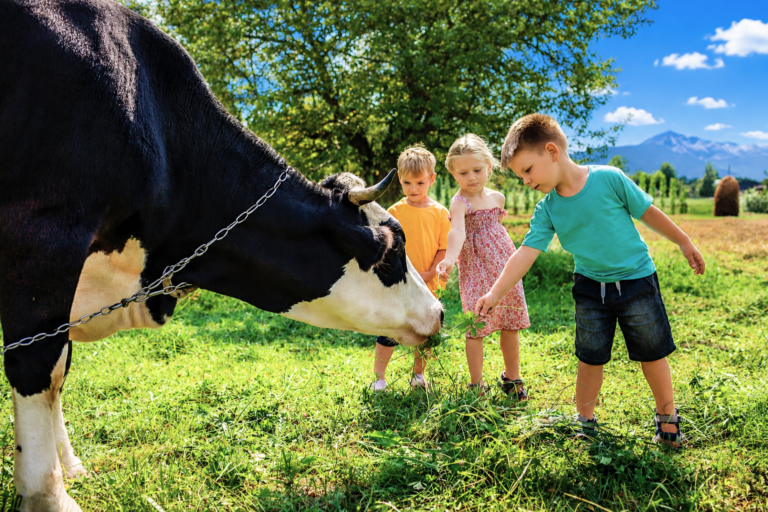 Farm visit
