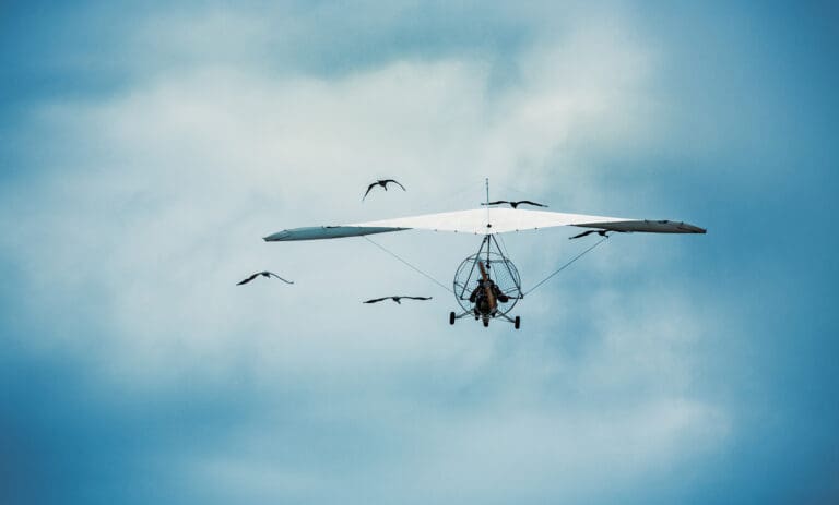Microlight flying with the cranes – Microlight flight