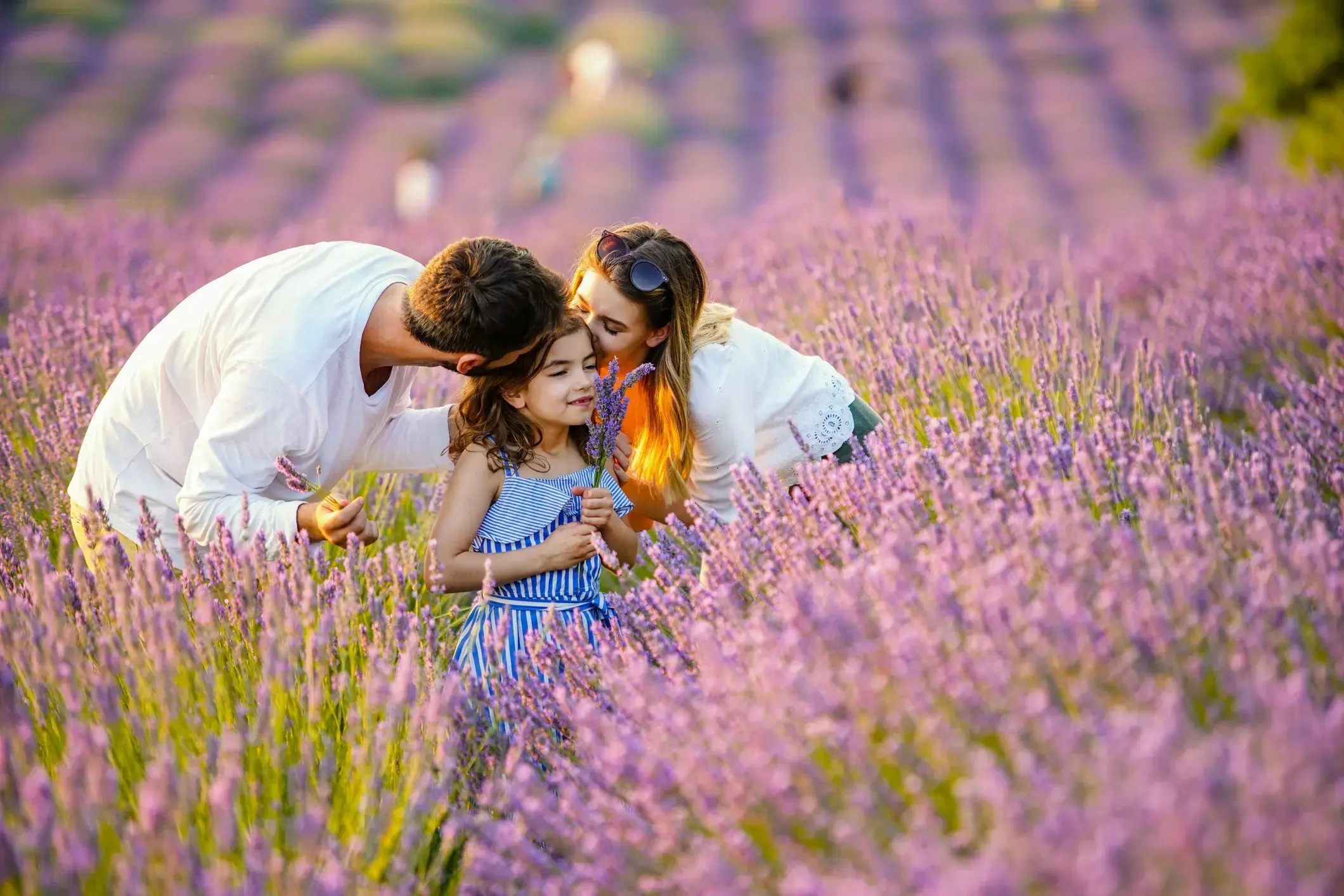 Envie de campagne